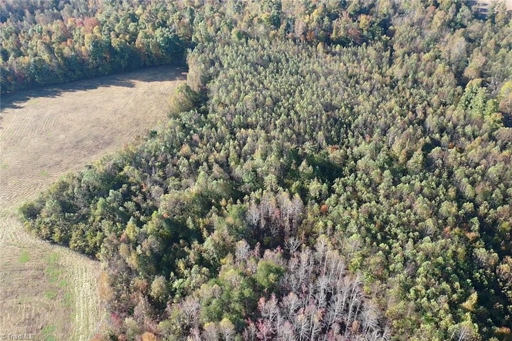 5820 Chrismon Road Browns Summit, NC 27214 - Photo 17 of 27 Gallery Image 17