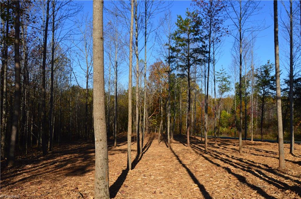5820 Chrismon Road Browns Summit, NC 27214 - Photo 6 of 27 Gallery Image 6