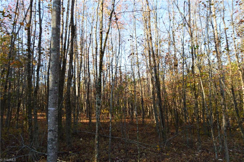5820 Chrismon Road Browns Summit, NC 27214 - Photo 7 of 27 Gallery Image 7