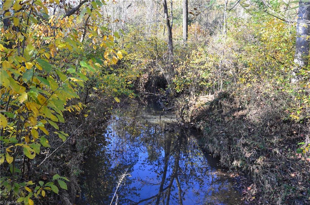 5820 Chrismon Road Browns Summit, NC 27214 - Photo 9 of 27 Gallery Image 9