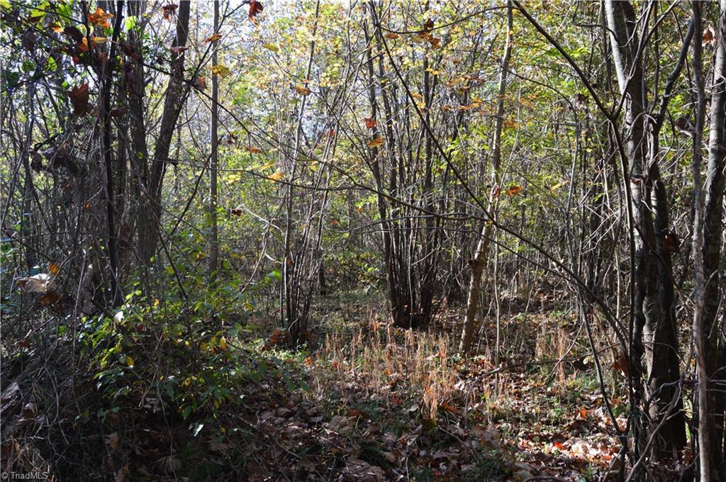 5820 Chrismon Road Browns Summit, NC 27214 - Photo 10 of 27 Gallery Image 10