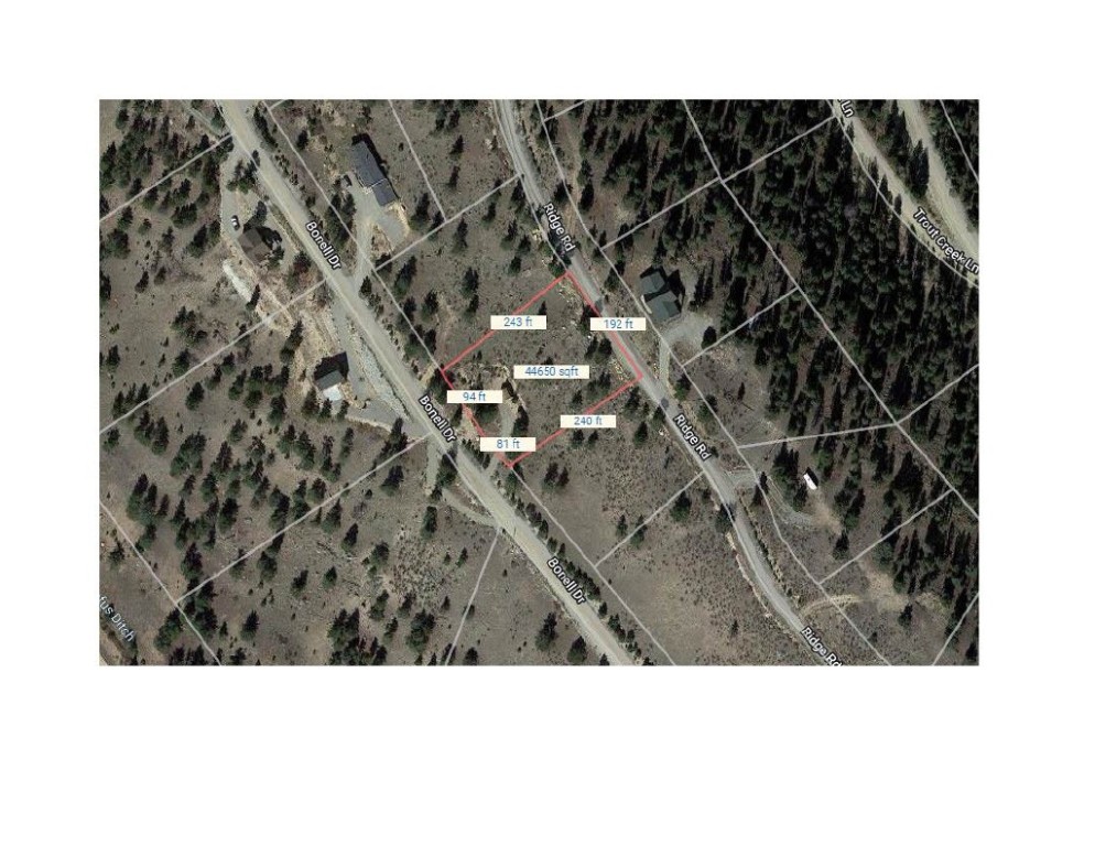 420 Bonell Drive Fairplay, CO 80440 - Photo 5 of 35 a view of a back yard