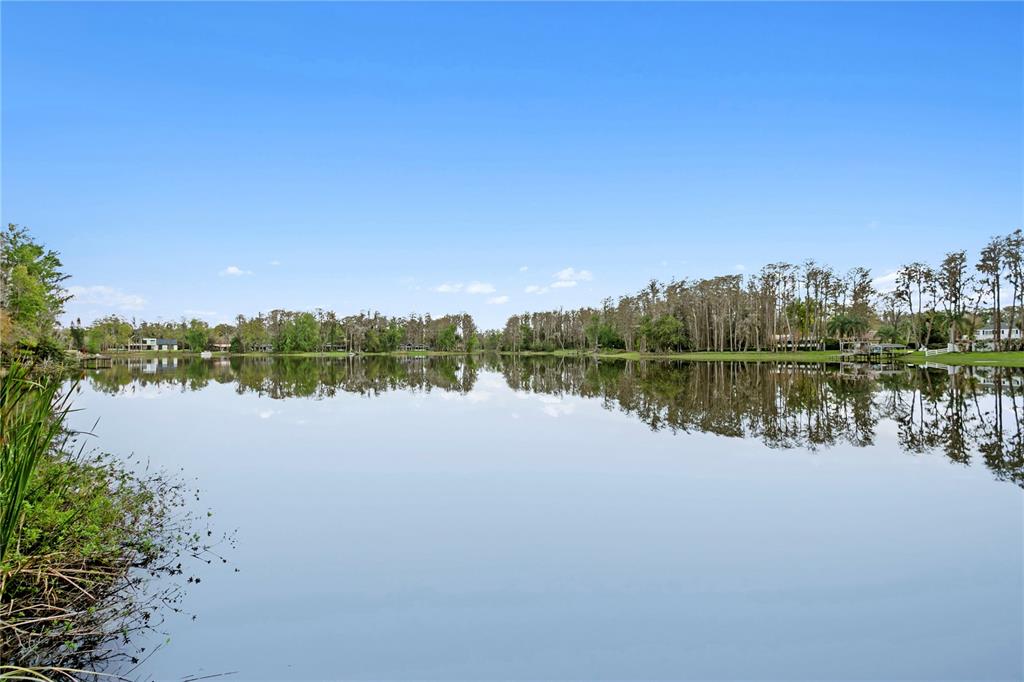 3632 Little Road Lutz, FL 33548 - Photo 20 of 44 a view of lake