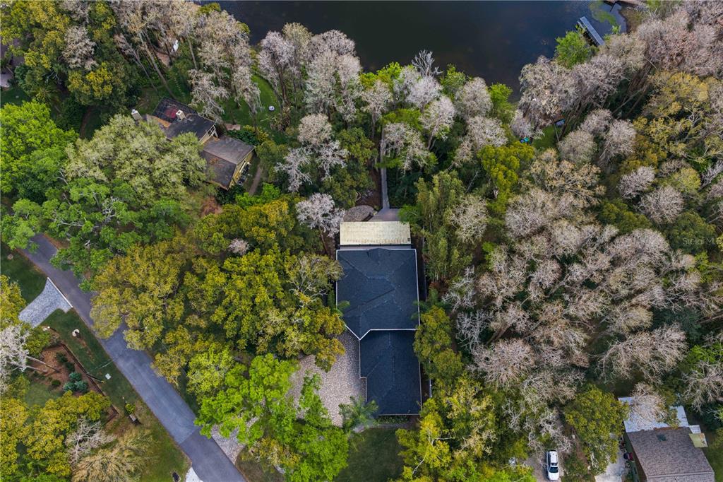 3632 Little Road Lutz, FL 33548 - Photo 43 of 44 view of a house with a yard and garden