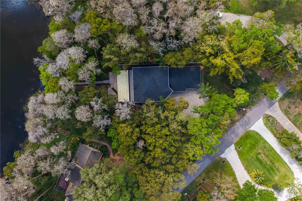 3632 Little Road Lutz, FL 33548 - Photo 44 of 44 a backyard of a house with lots of green space