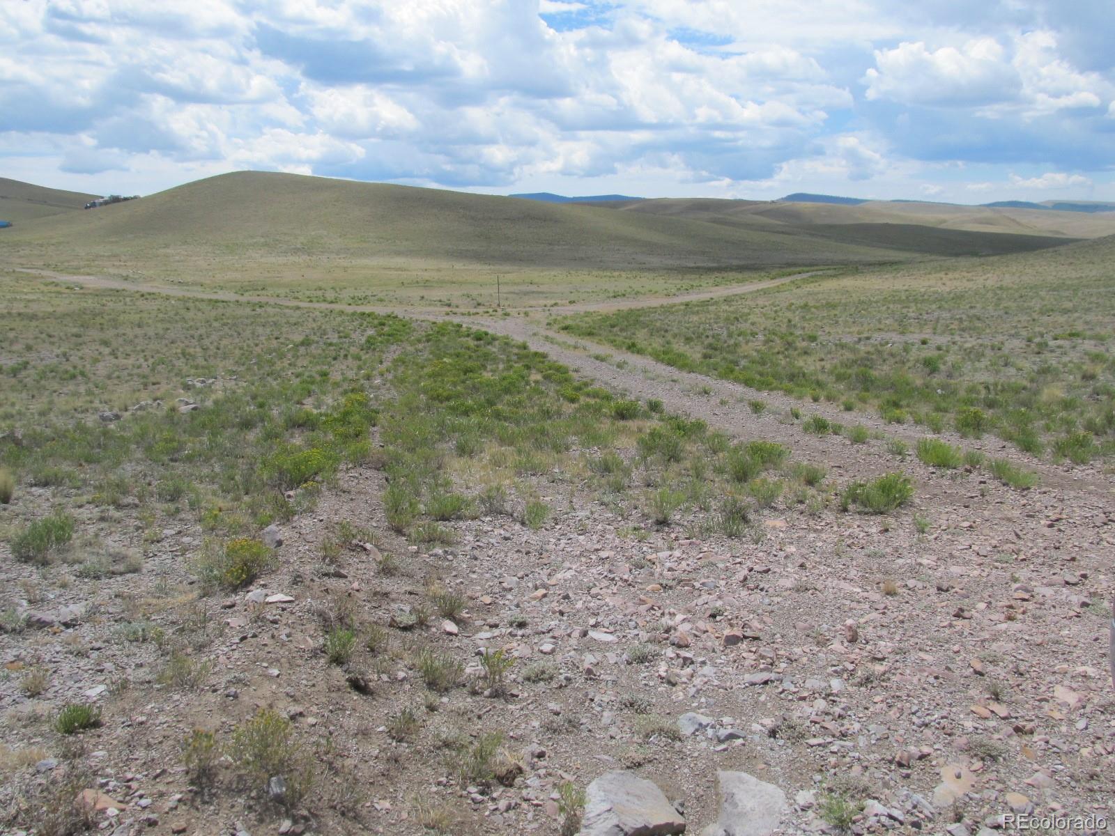 2596 Delaware Road Hartsel, CO 80449 - Photo 2 of 5