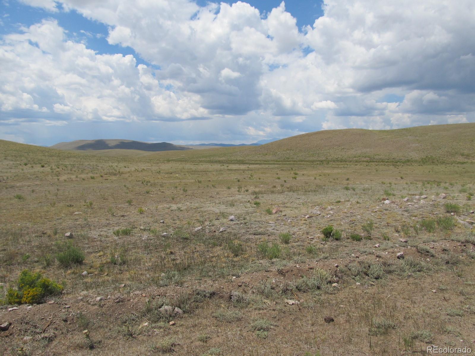2596 Delaware Road Hartsel, CO 80449 - Photo 3 of 5