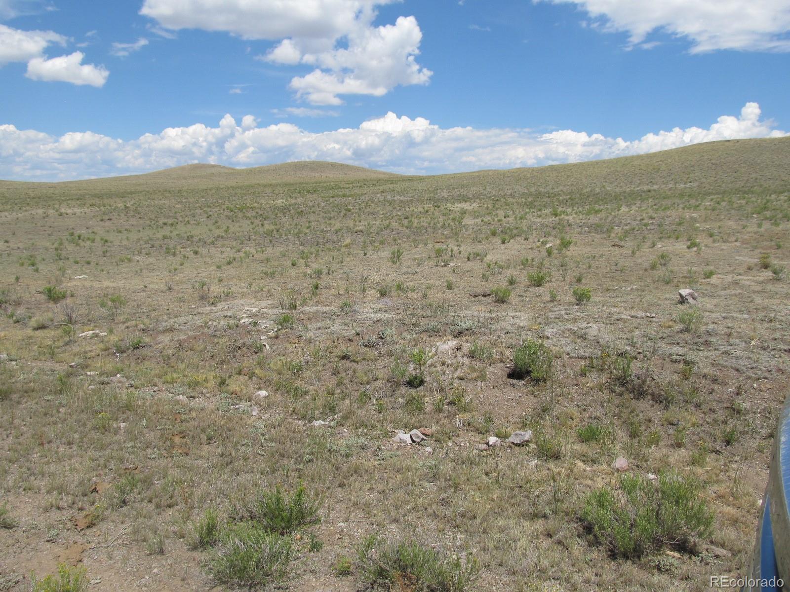 2596 Delaware Road Hartsel, CO 80449 - Photo 4 of 5