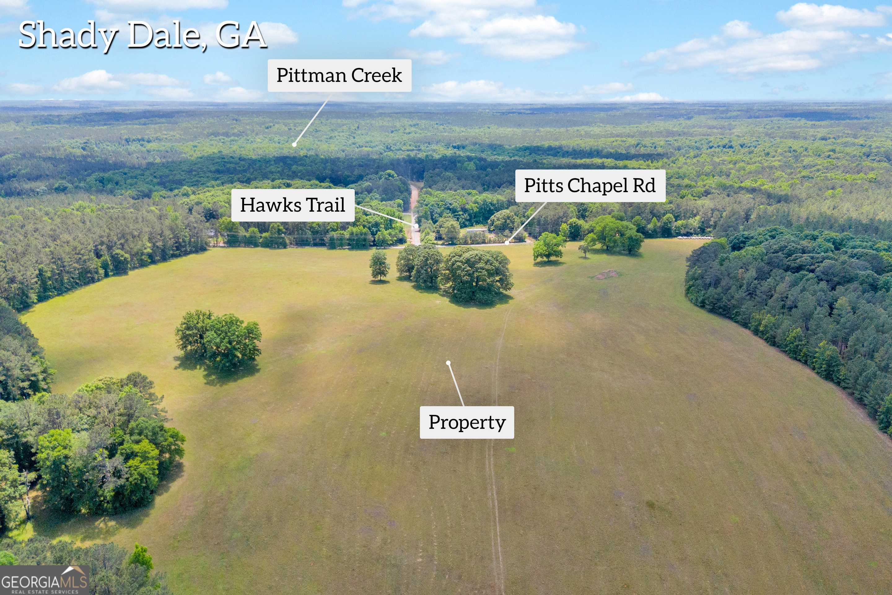 0 Pitts Chapel Road Monticello, GA 31064 - Photo 4 of 22
