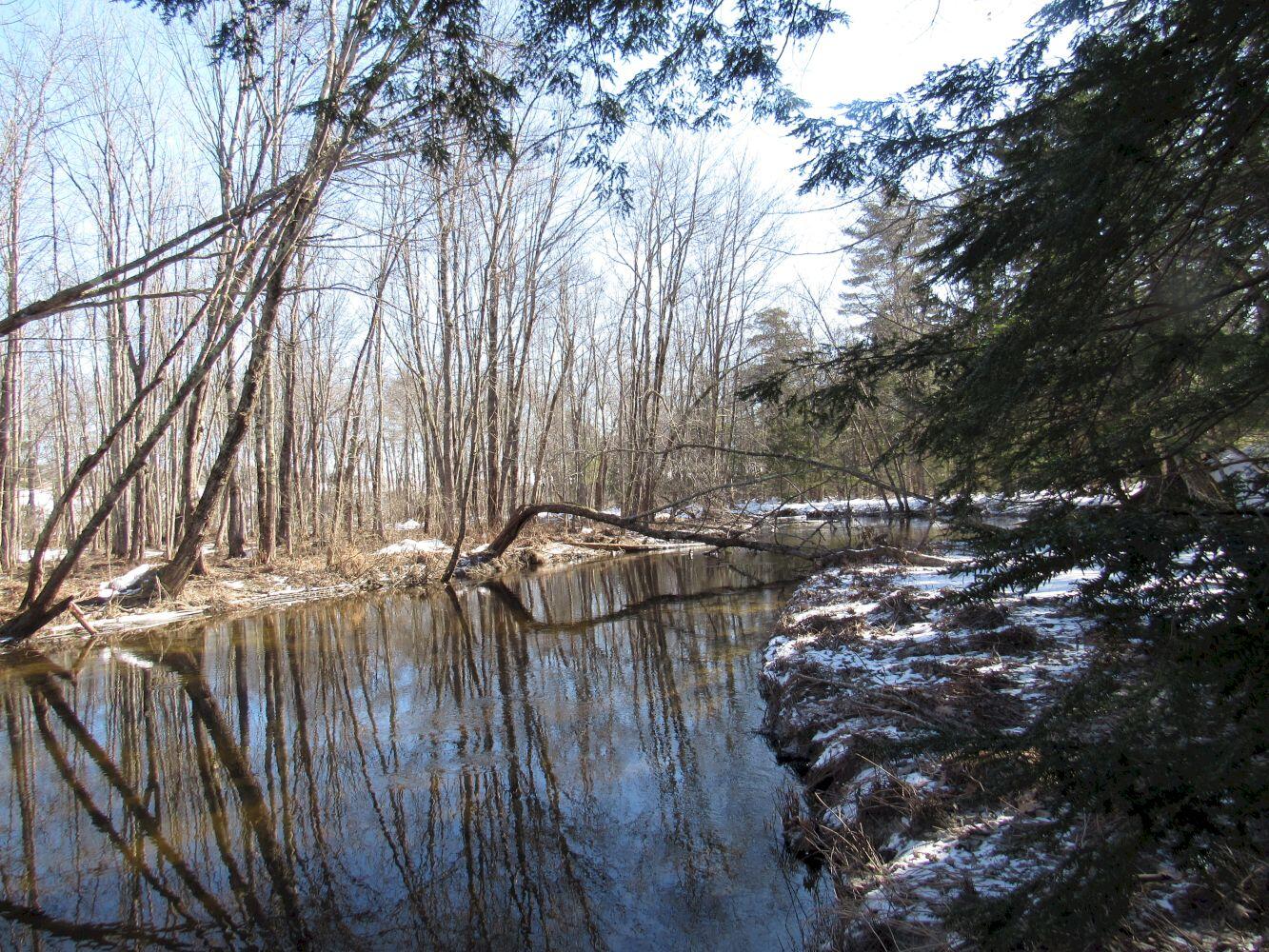 277 North Pond Road Rome, ME 04963 - Photo 30 of 43 #28