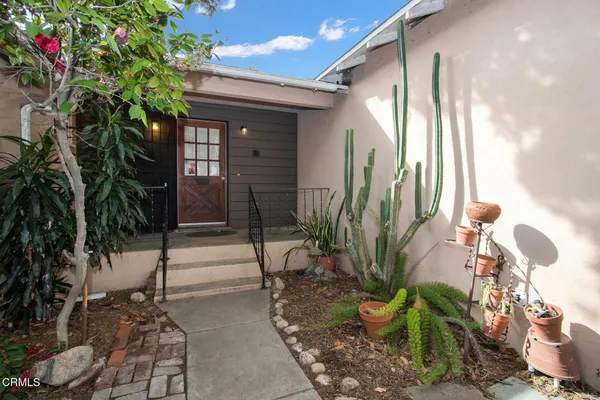 a potted plant sitting in front of a house