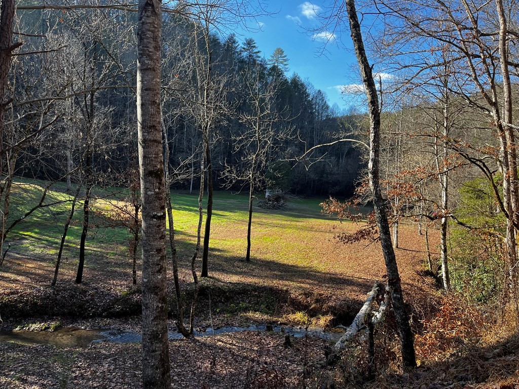 23 Valentine Branch Road Sevierville, TN 37876 - Photo 2 of 18 Gallery Image 2