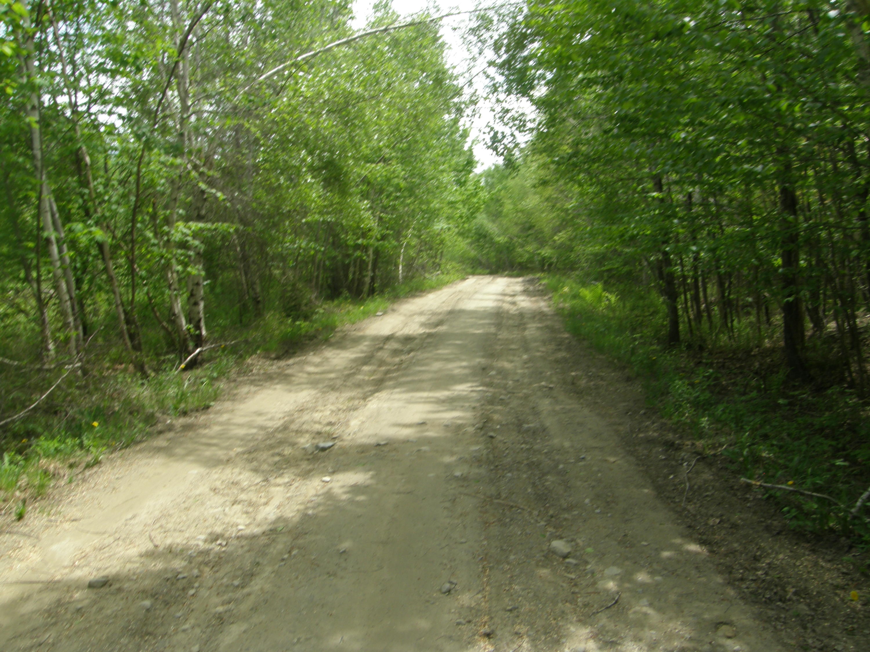 M10-l4 M10-l4 Stone Bridge Road Dexter, ME 04930 - Photo 6 of 9 P5280686