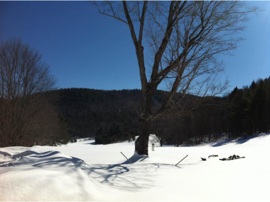 845 West Hill Road Townshend, VT 05353 - Photo 2 of 24 Gallery Image 2