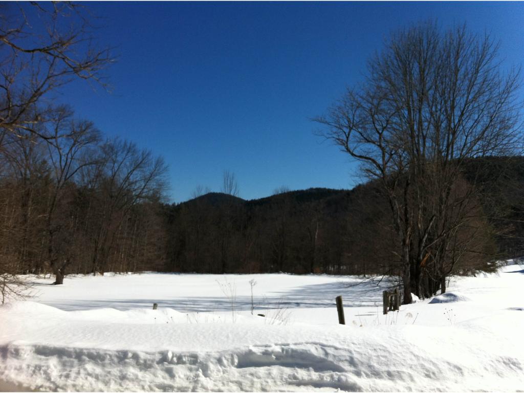 845 West Hill Road Townshend, VT 05353 - Photo 3 of 24 Gallery Image 3