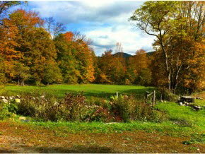 845 West Hill Road Townshend, VT 05353 - Photo 21 of 24 Gallery Image 21