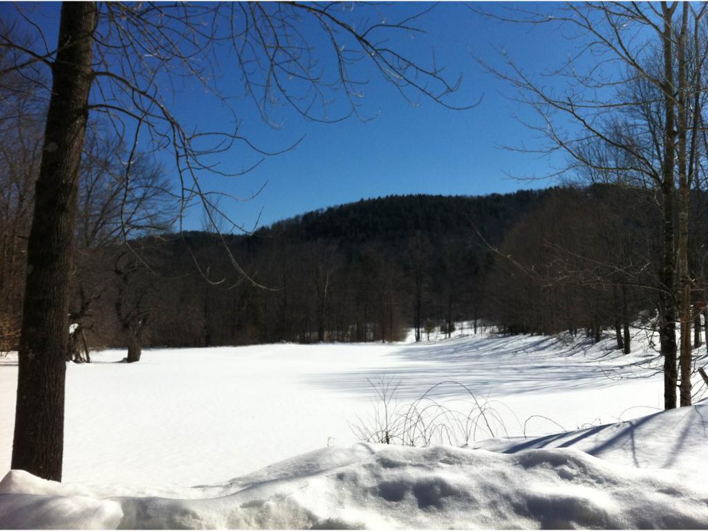 845 West Hill Road Townshend, VT 05353 - Photo 4 of 24 Gallery Image 4