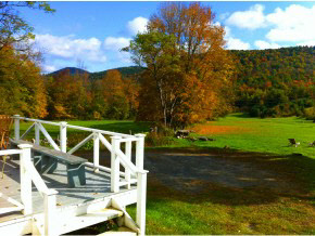 845 West Hill Road Townshend, VT 05353 - Photo 5 of 24 Gallery Image 5