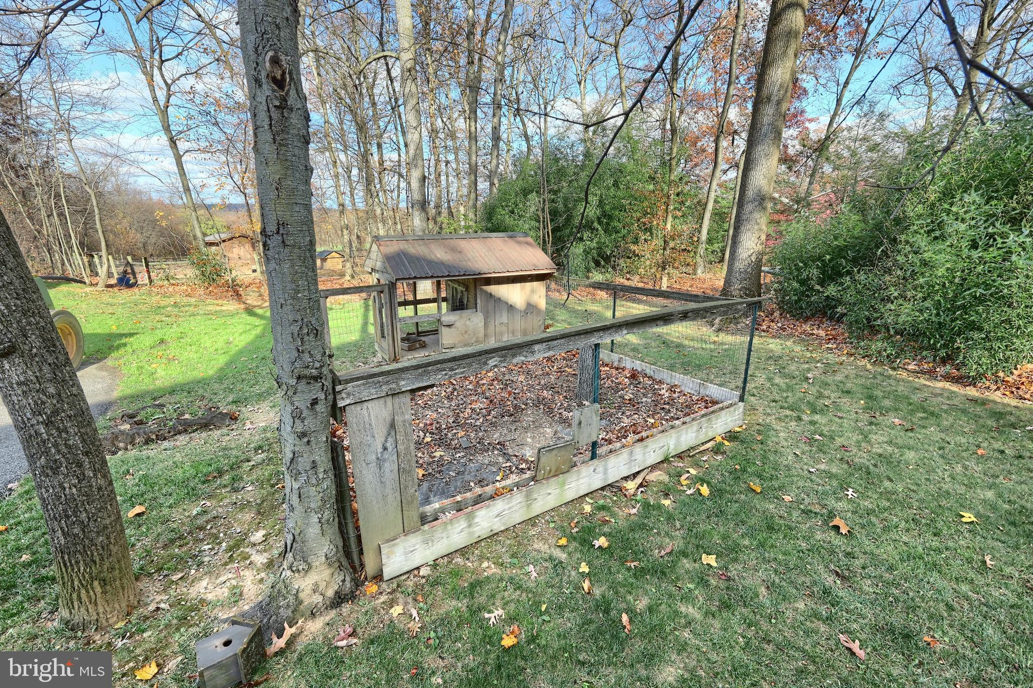 798 Goram Road Brogue, PA 17309 - Photo 21 of 57 a view of a backyard with large trees