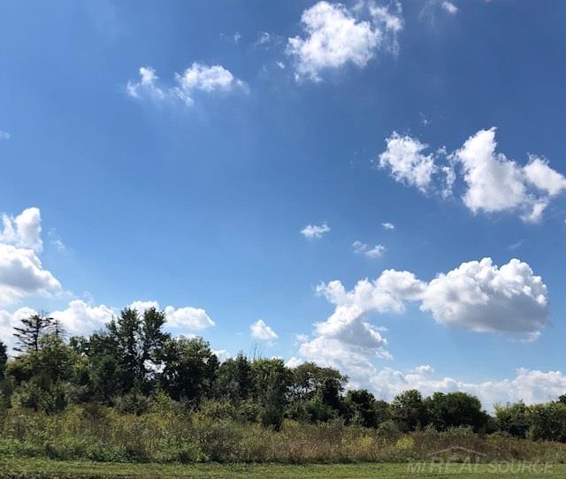 0 Schoenherr Road Washington, MI 48094 - Photo 1 of 1 Gallery Image 1