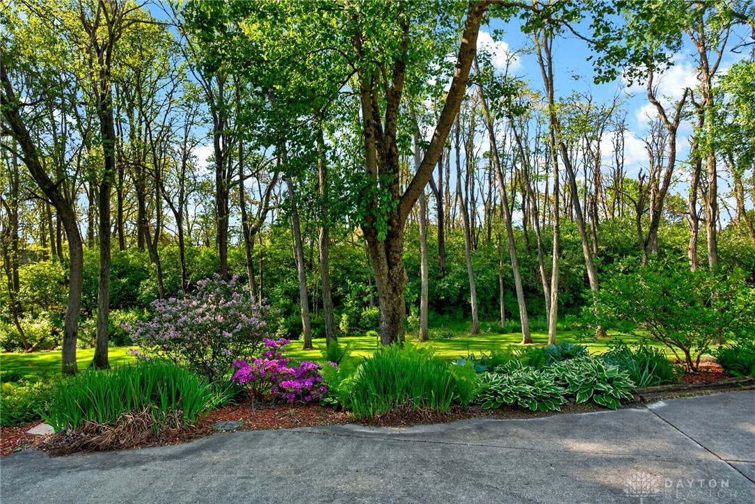 330 South Alpha Bellbrook Road Bellbrook, OH 45305 - Photo 83 of 87 Lush landscaping and mature trees frame this expansive green lawn, offering a serene natural escape.