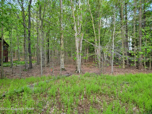 a green field with lots of trees in it