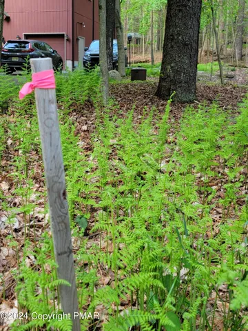 a fire hydrant in the middle of a garden