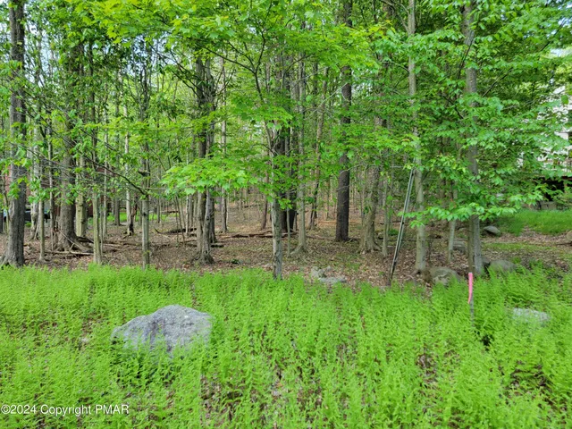 a view of a garden with a fountain