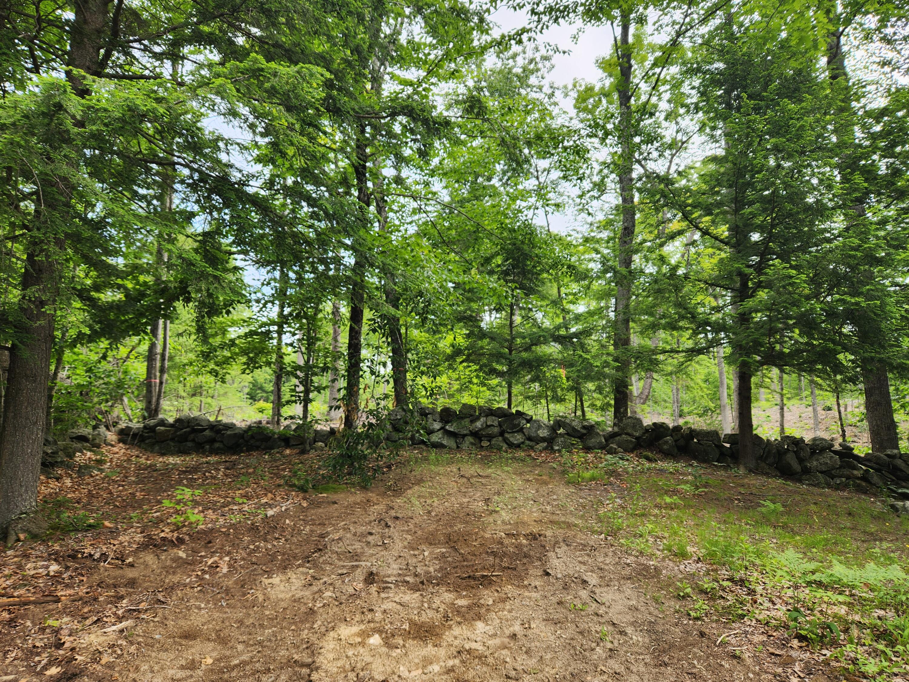 153 Sodom Road Hebron, ME 04238 - Photo 6 of 29 20230624_091028