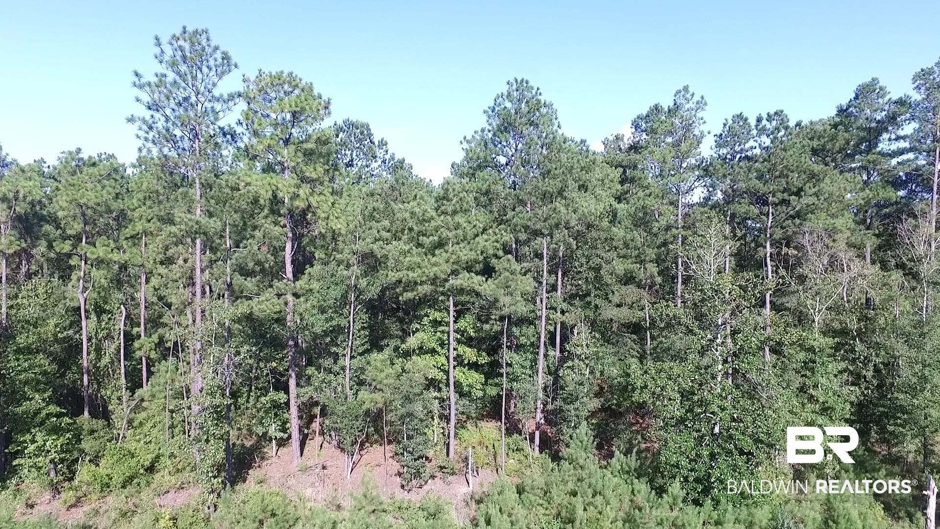 0 North Highway 43 Axis, AL 36505 - Photo 6 of 15