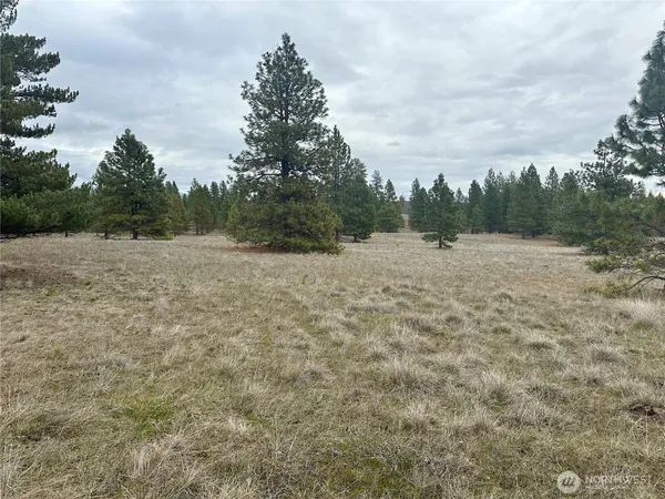a view of an outdoor space and yard