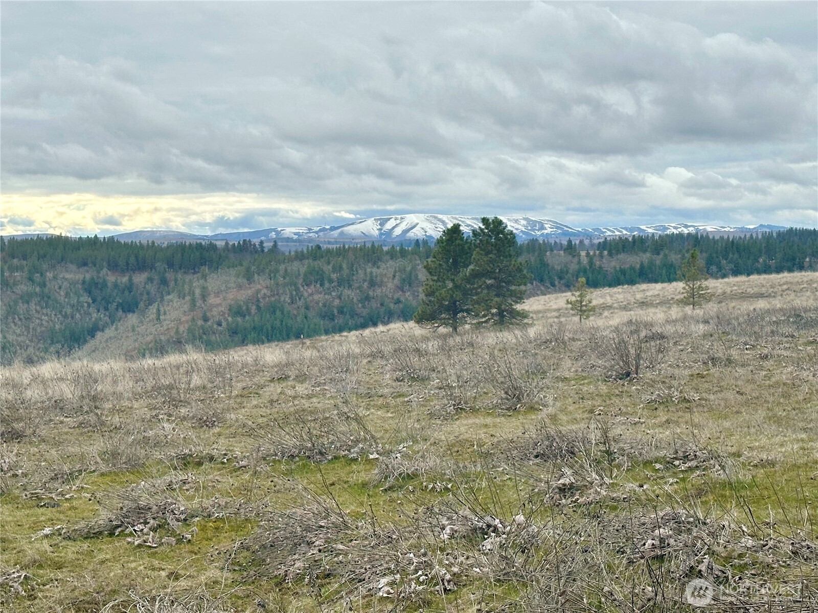 72 Winlock Road Goldendale, WA 98620 - Photo 3 of 7 a view of a lake view with beach