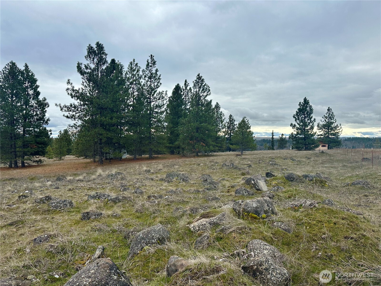 72 Winlock Road Goldendale, WA 98620 - Photo 5 of 7 a view of a outdoor space with trees