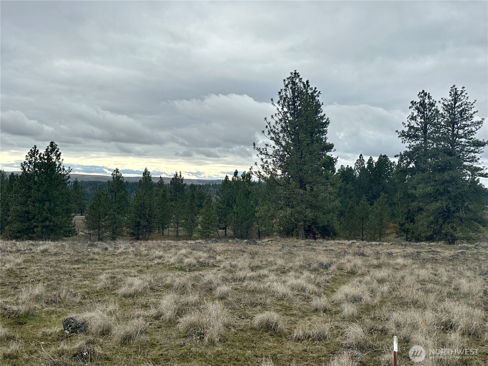 72 Winlock Road Goldendale, WA 98620 - Photo 7 of 7 a view of a dry yard