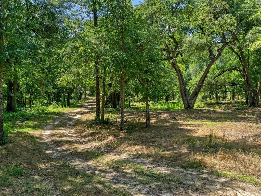 3 Old Dibble Road Aiken, SC 29803 - Photo 9 of 9