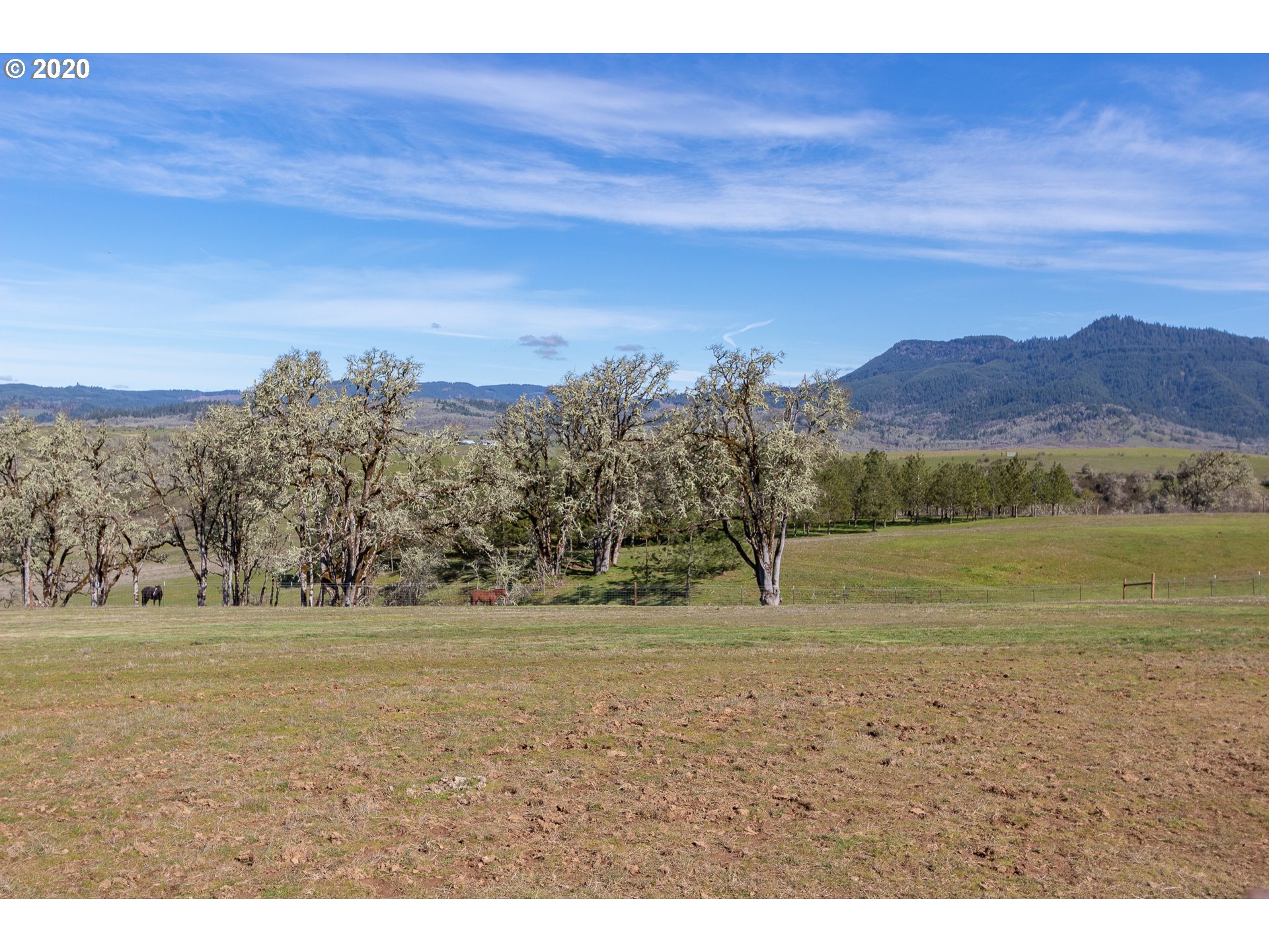 3838 Driver Valley Road Oakland, OR 97462 - Photo 22 of 28
