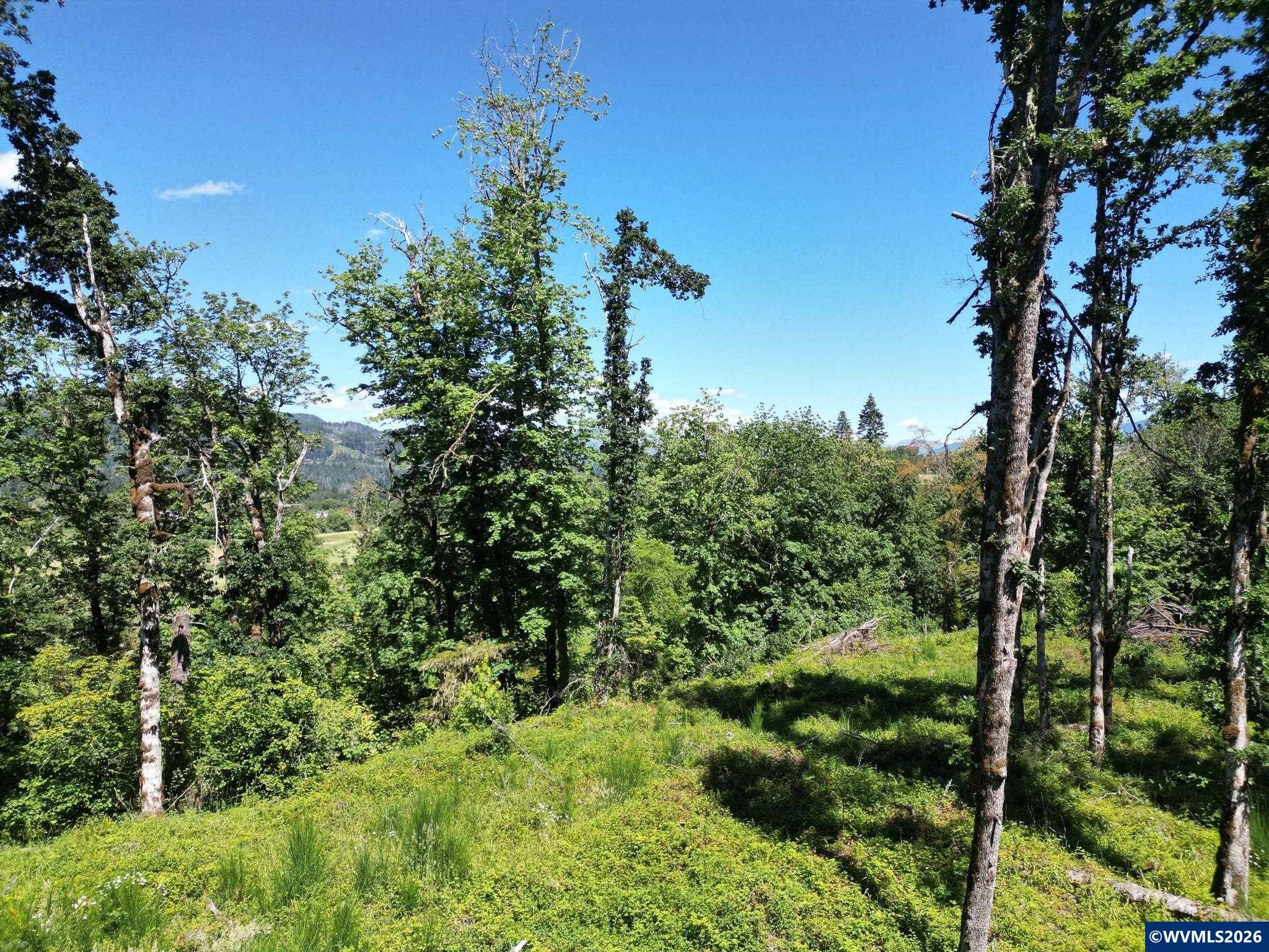2702-2703 South Cedar Mill Road Lyons, OR 97358 - Photo 12 of 17