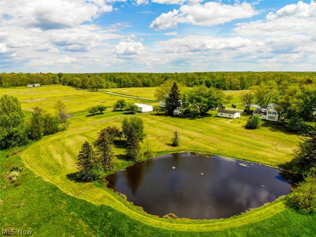 16310 Ellsworth Road Berlin Center, OH 44401 - Photo 12 of 30 Love the outdoors, you'll love this property! Many possibilities!