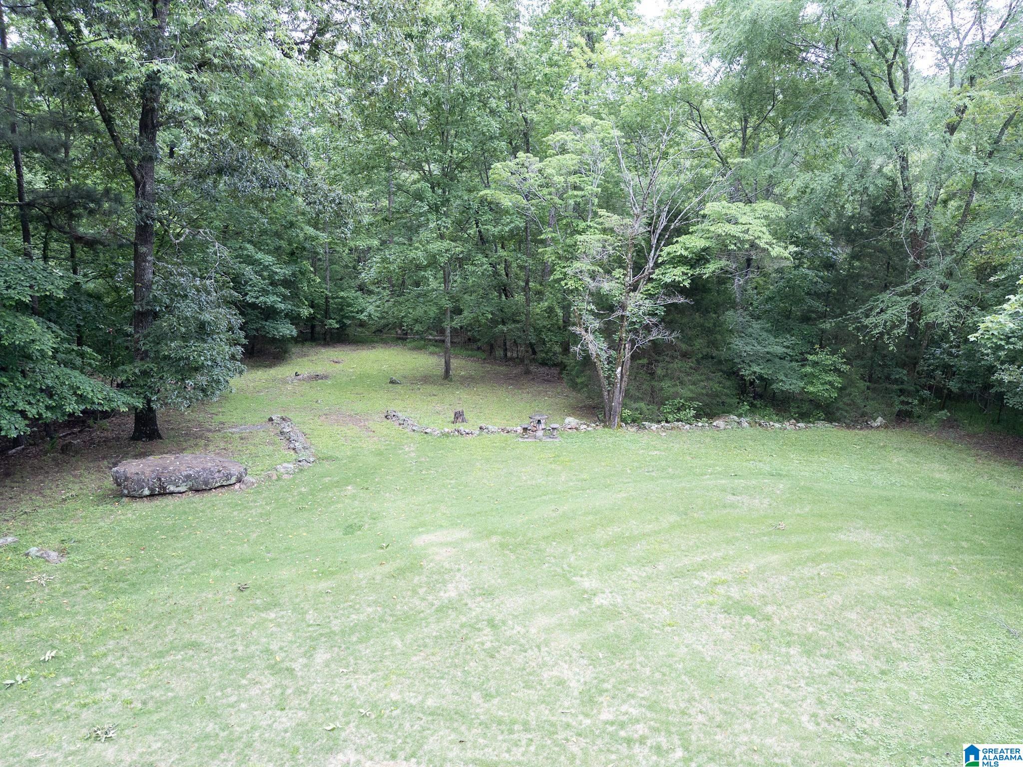 680 Mountain View Lane Springville, AL 35146 - Photo 16 of 19