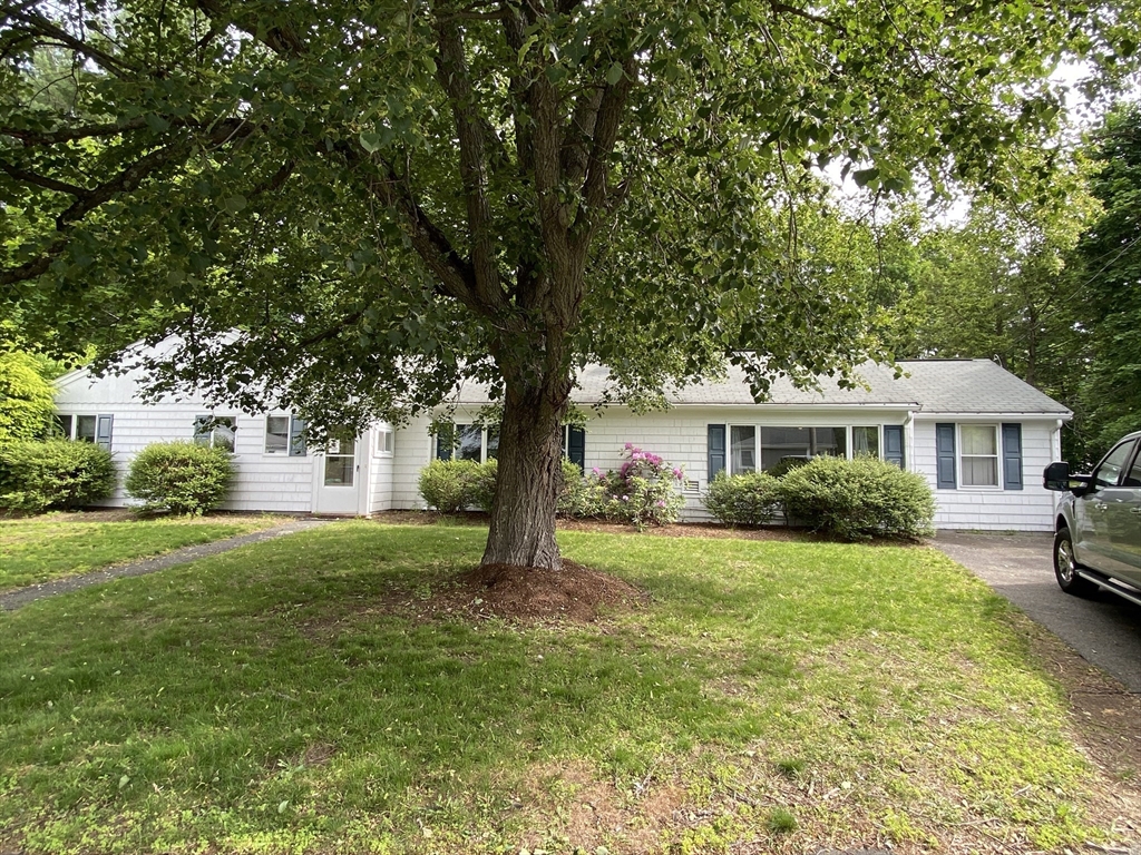 a front view of a house with yard and green space