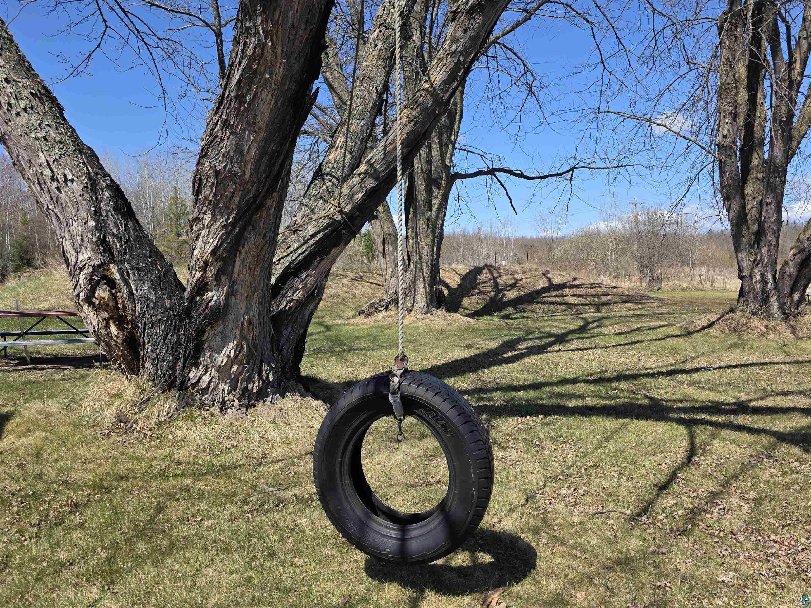 40139 County Road 251 Cohasset, MN 55721 - Photo 35 of 50 Expansive outdoor area featuring mature maple trees and a tire swing