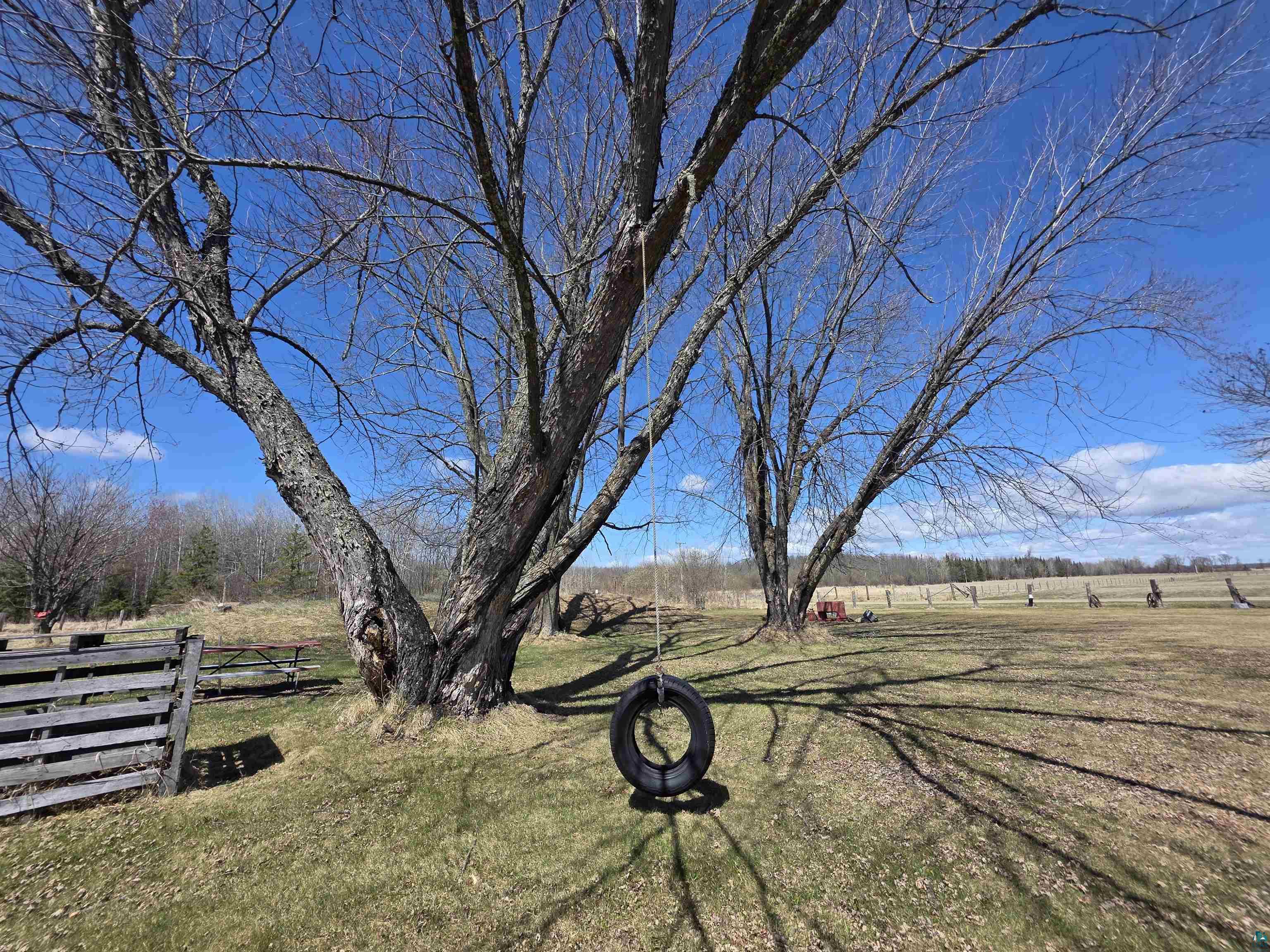 40139 County Road 251 Cohasset, MN 55721 - Photo 36 of 50 Expansive outdoor area featuring mature maple trees and a tire swing
