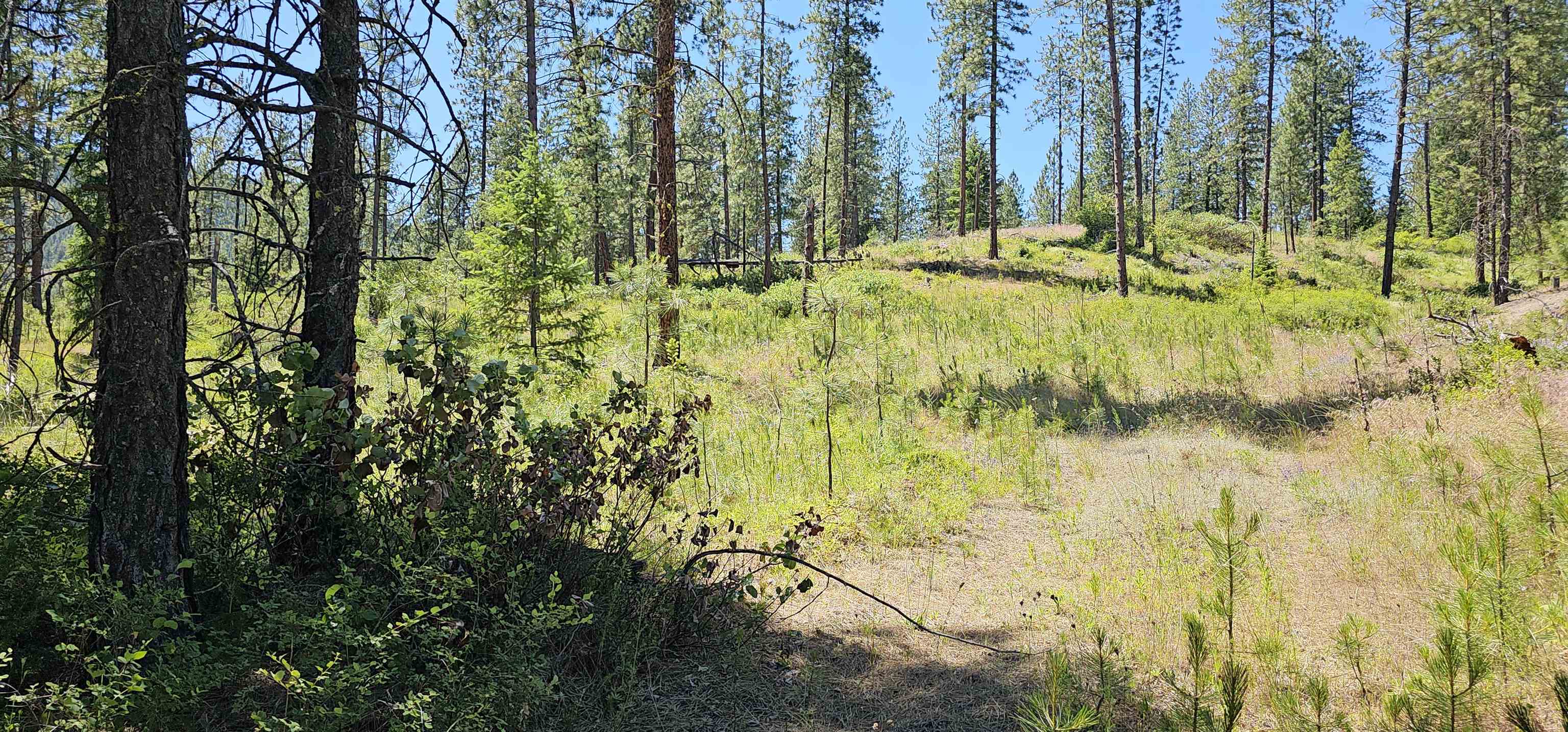 20 X Lynx Road Inchelium, WA 99138 - Photo 12 of 38