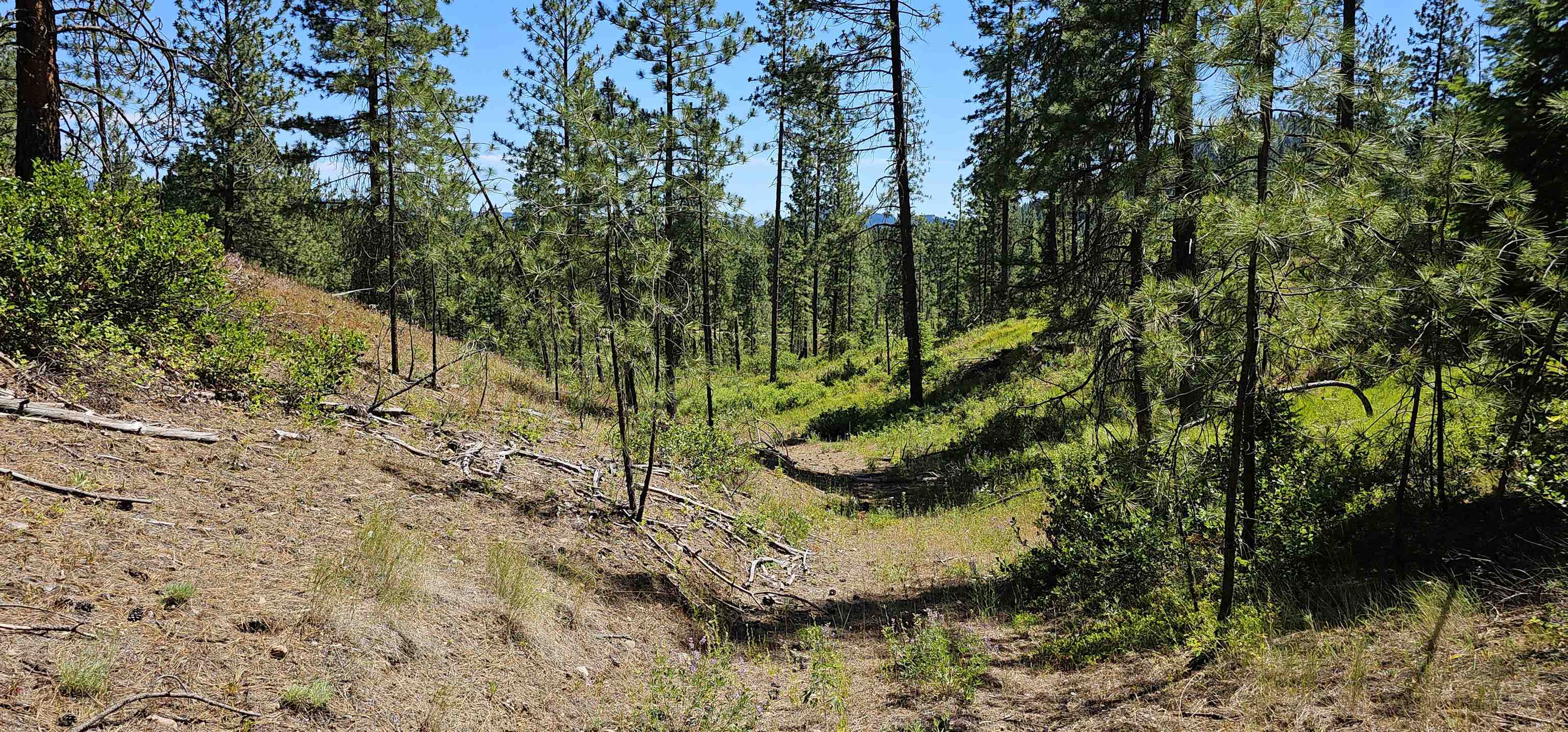 20 X Lynx Road Inchelium, WA 99138 - Photo 13 of 38