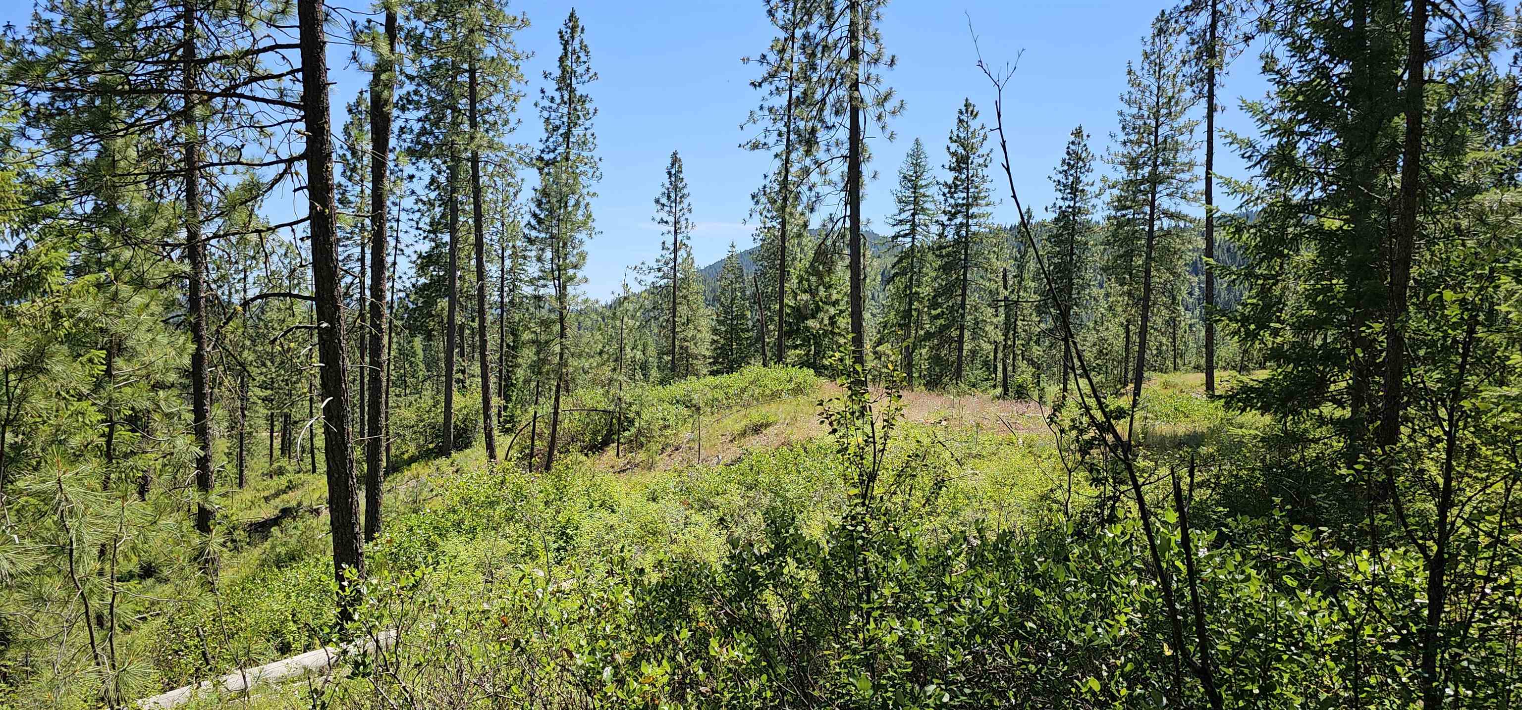 20 X Lynx Road Inchelium, WA 99138 - Photo 14 of 38