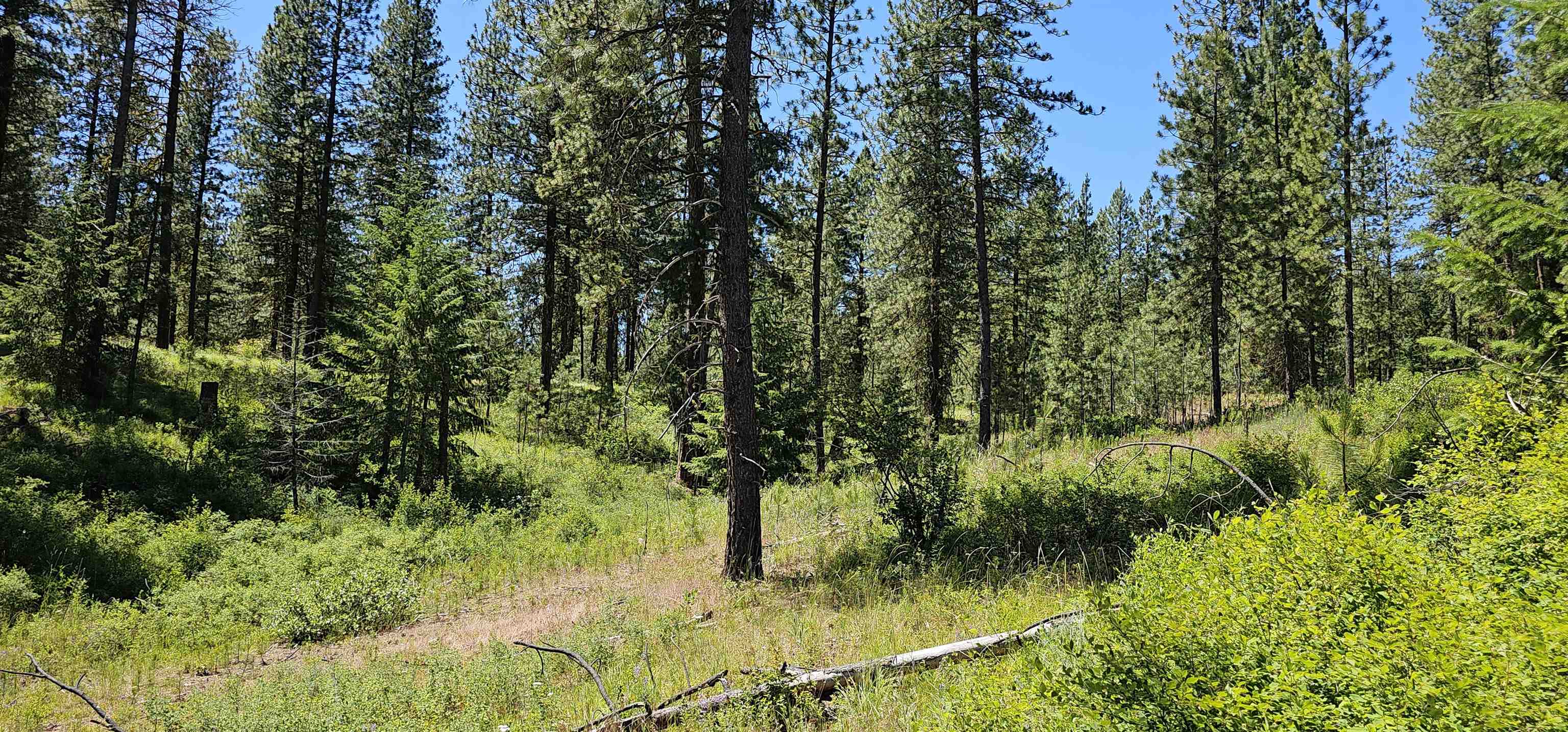 20 X Lynx Road Inchelium, WA 99138 - Photo 25 of 38