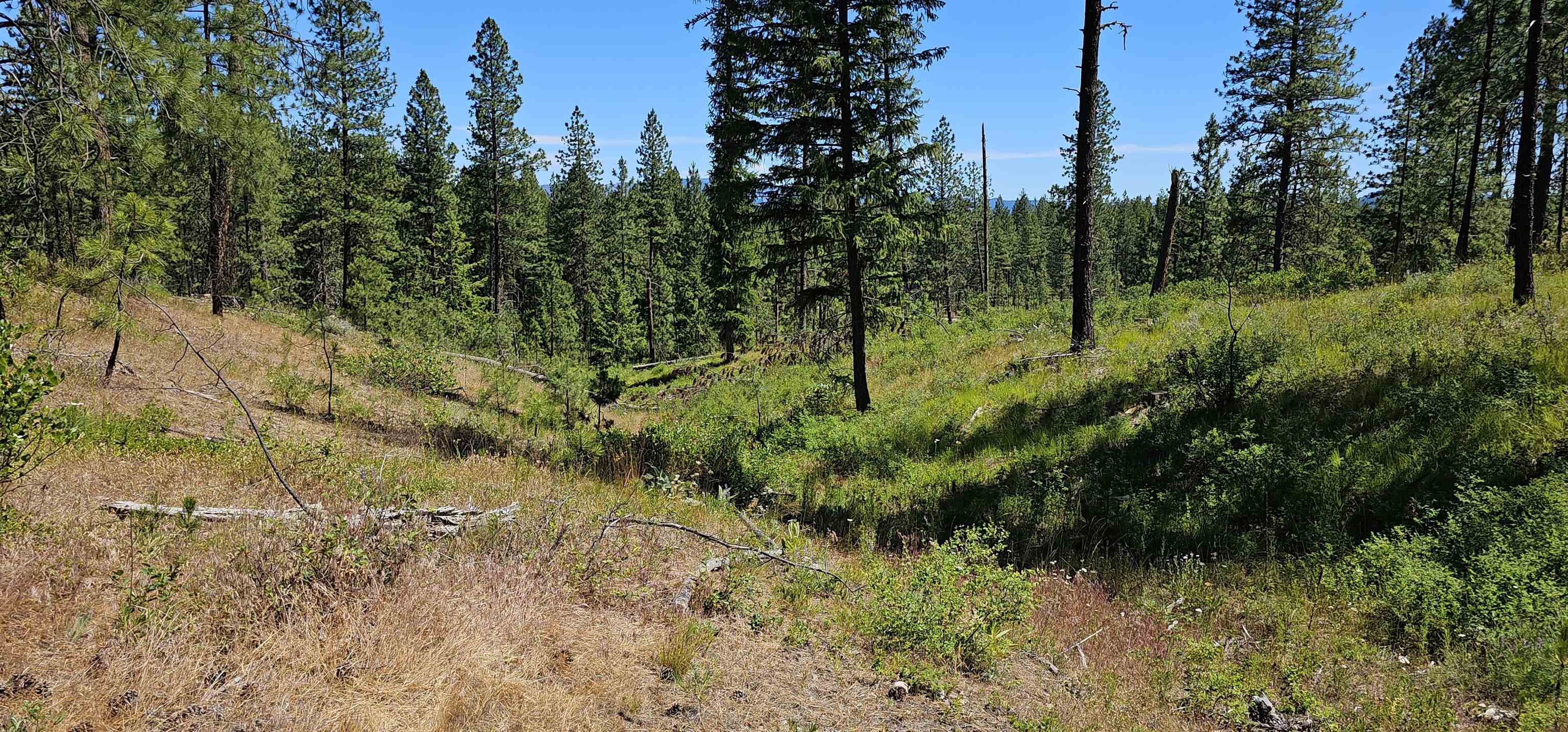 20 X Lynx Road Inchelium, WA 99138 - Photo 26 of 38