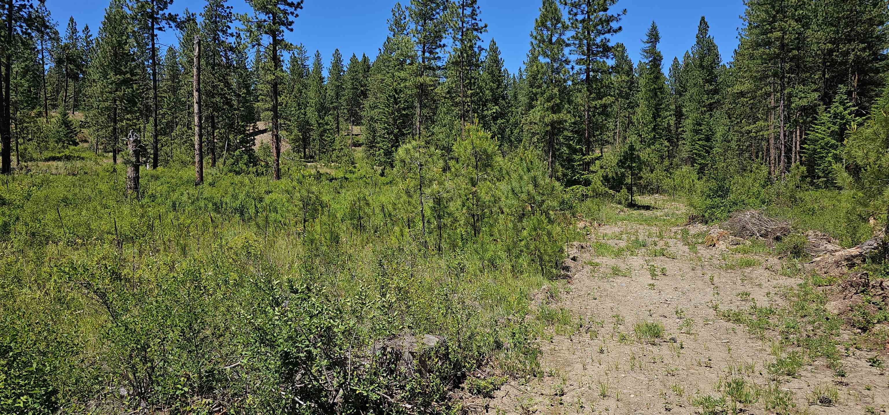 20 X Lynx Road Inchelium, WA 99138 - Photo 3 of 38