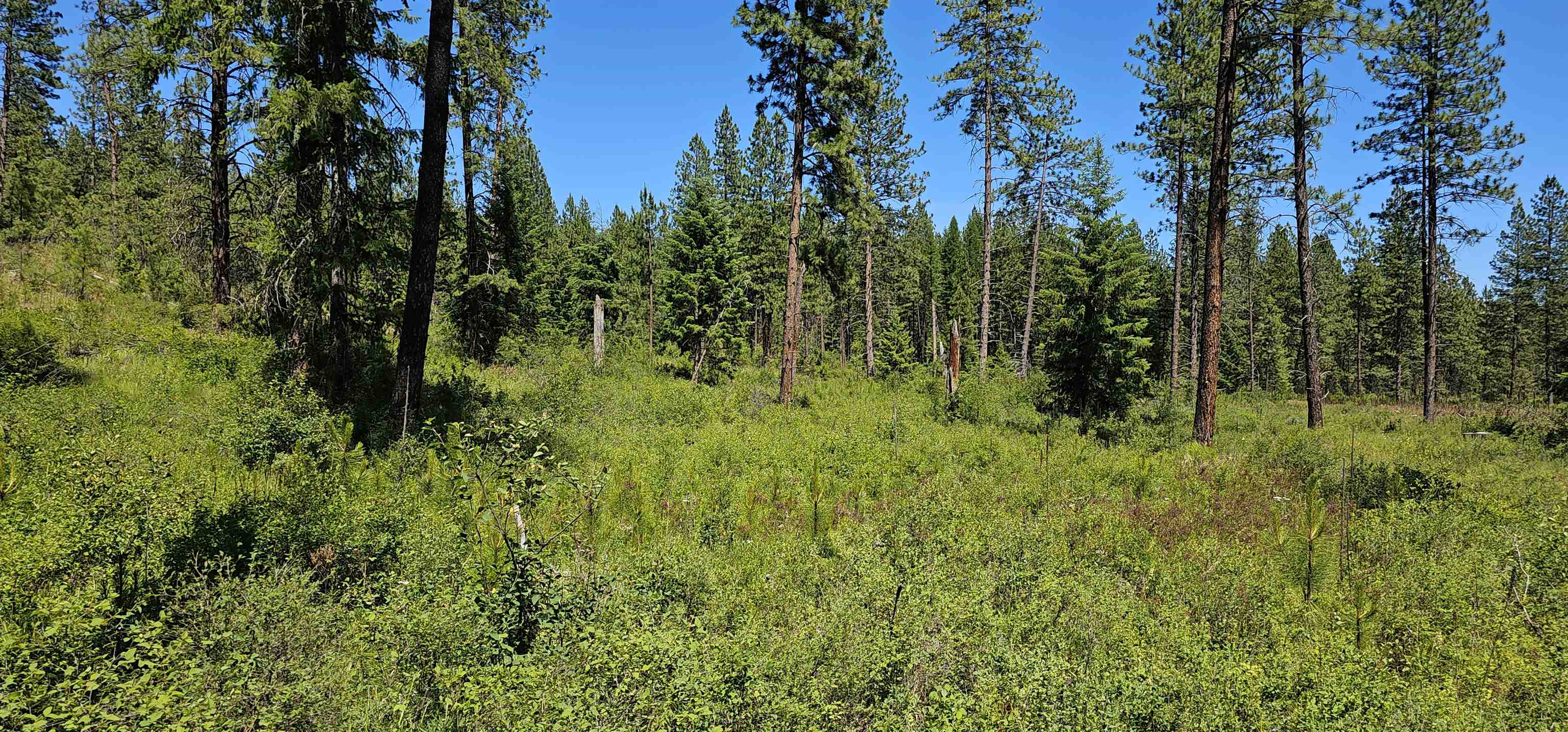 20 X Lynx Road Inchelium, WA 99138 - Photo 31 of 38