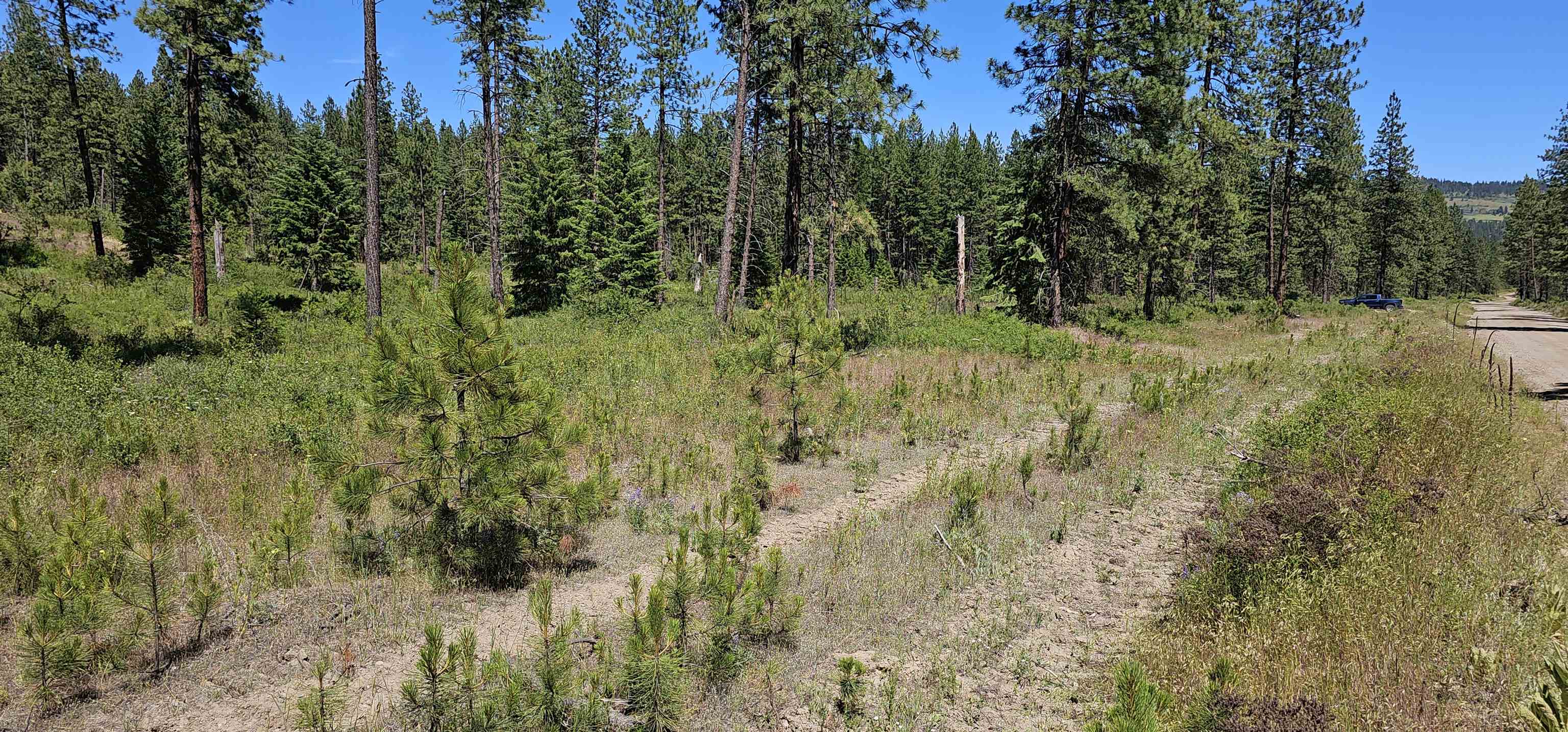 20 X Lynx Road Inchelium, WA 99138 - Photo 33 of 38